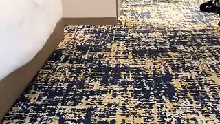 Brown-haired Honey Penelope Kay With Her Very first Avn Practice