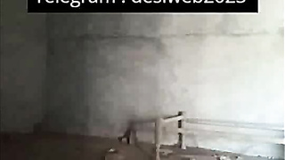 Desi Indian Pornography Movie mms 3