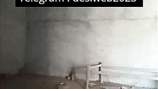 Indian [censored] movies mms 2