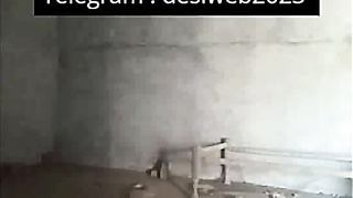 Desi Village duo viral mms ть