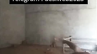 Desi Indian College viral vid 2