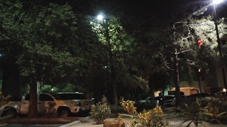 XXL PLUS-SIZE Wifey Joy!