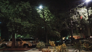 XXL PLUS-SIZE Wifey Joy!