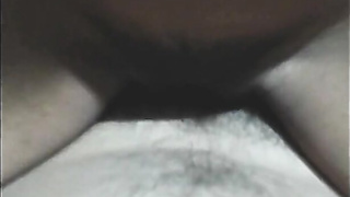 31st Night Desires Collective Inbetween Buddies.