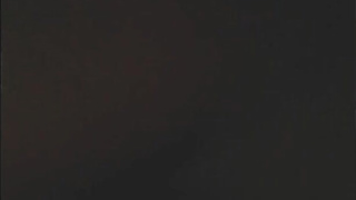 31st Night Desires Collective Inbetween Buddies.