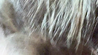 Dt Princess Bonemaiden Gets Jizz