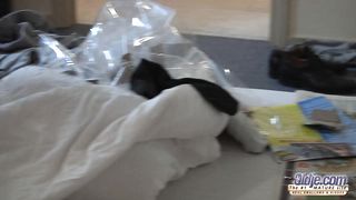 Bathing with aged fellow, downright dressed