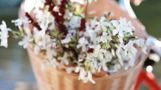 Lucia Javorcekova Naked Photoshoot four