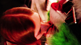 How the Grinch Plumbed Christmas