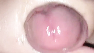 Egyptian XXL Bootie Stepmother in Hijab Penetrated by Her Nasty Sonnie