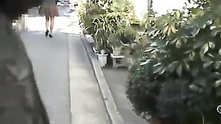 These lil' streets seem to be made only for the microskirt sharks