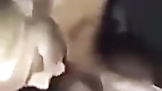 GREEK PORNO LUXURIOUS JO ORAL JOB PIPA