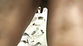 Super-cute cabooses looking for sunglass