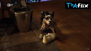 Cosima Henman Bootie, Hooters Episode in Extraklasse two+