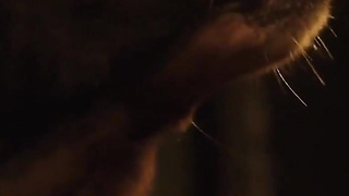 Ivana Alawi Bootie, Bumpers Vignette in Sitsit