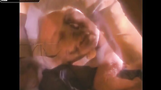 Anna Nicole Smith A Vet Forever