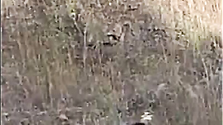 Recent Fresh Indian viral fuckfest