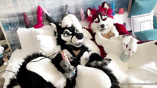 Had so much joy frolicking with @yeenpupbean at AC. She had me .. by emmawerewuff from OnlyFans - Coomer