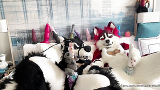 Had so much joy frolicking with @yeenpupbean at AC. She had me .. by emmawerewuff from OnlyFans - Coomer