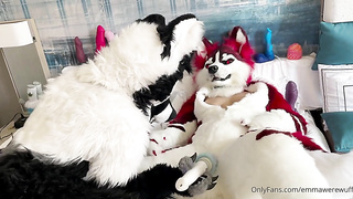 Had so much joy frolicking with @yeenpupbean at AC. She had me .. by emmawerewuff from OnlyFans - Coomer