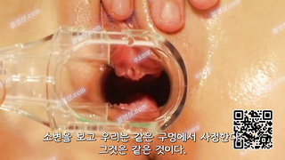 6149 (번역 추가)핑두에 핑보 개이쁜 여자 대상으로 오르가즘 시오후키 강의 1 Korea 텔레 UUB892