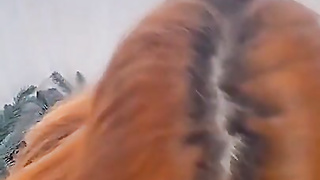 Amouranth Close Up Grubby Oral Vid Leaked