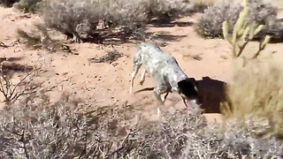 Throwback to our knuckle summer filming SGW movies! This movie .. by sparksgowild from OnlyFans - Coomer