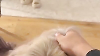 Kimchiee Filthy Fellatio Pornography Flick