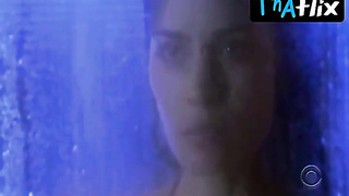 Shannyn Sossamon Beautiful Episode in Moonlight