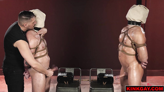 WoodxBound gives Phoenix and Rew a wild edging