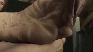 138 The Strenuous Scent Of Them