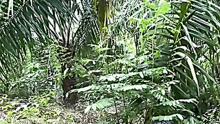 Ibu Tiri Dan Anak Tiri Ngewe Di Kebun Sawit Part2