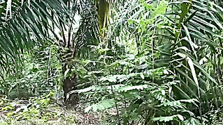 Ibu Tiri Dan Anak Tiri Ngewe Di Kebun Sawit Part2