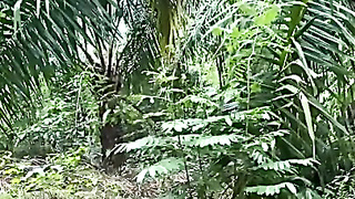 Ibu Tiri Dan Anak Tiri Ngewe Di Kebun Sawit Part2