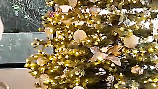 Claire Stone Bare-breasted Christmas Taunt Movie Leaked