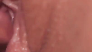 Stefanie Knight Honeypot Gobbling Close Up Movie Leaked