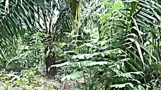 Thai Village Dame Screwing In Her Backyard