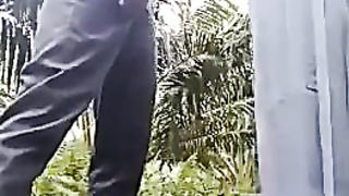 SMA Mesum Di Kebun Sawit
