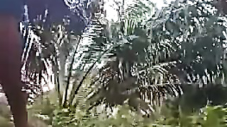 SMA Mesum Di Kebun Sawit