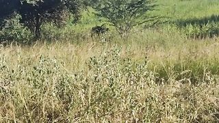 Meaty Pop-Shot Outdoor around Temples
