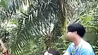 Ngewe Sama Anak Di Kebun Sawit Indonesia Crot Dalam