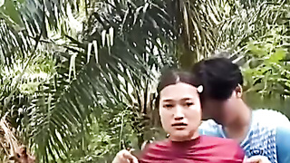 Ngewe Sama Anak Di Kebun Sawit Indonesia Crot Dalam