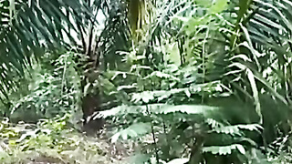 Ngewe Sama Anak Di Kebun Sawit Indonesia Crot Dalam