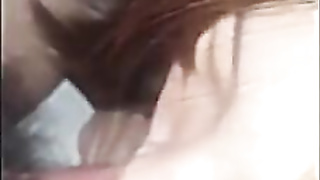 See 화장실에서 정성스럽게 빨아주는 여친 한국야동 최신야동 무료 ...