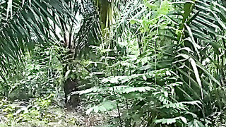 Viral Sejoli Di Hutan