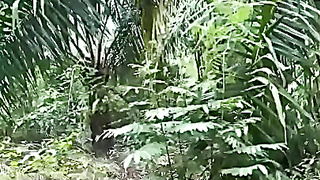 Viral Sejoli Di Hutan