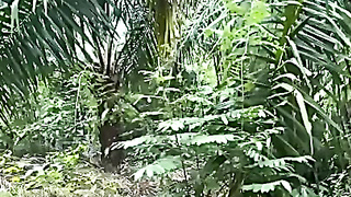 Viral Ibu Tiri Dengan Anak Di Kebun Sawit Utter Https://tr.ee/aFhvQB