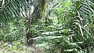 Viral Ibu Tiri Dengan Anak Di Kebun Sawit Utter Https://tr.ee/aFhvQB