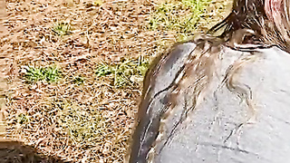 Pyra Fae Outdoor Porn video Flick Leaked