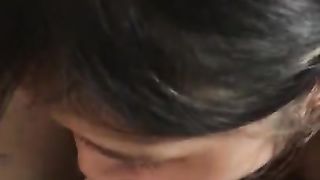 Sucky-Sucky 《home Movie》